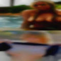 Swingers Cabins