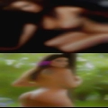 Swinger Hollywood
